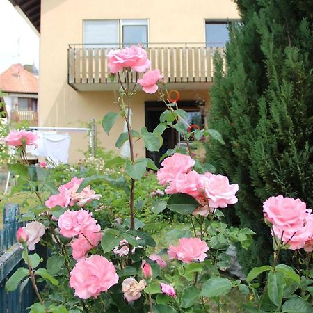 Vronis Ferienwohnungen Muhlingen Экстерьер фото